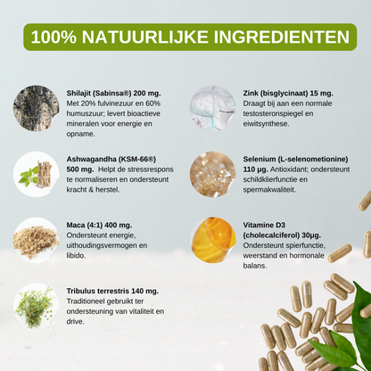 Manpower – Verhoogt de Testosteron binnen 30 dagen.